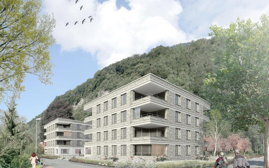 Wohn&uuml;berbauung Birkenweg