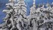 Winterwunderland Liechtenstein (03.12.23)