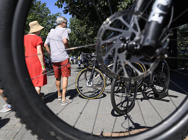 Bundesrat Will Helmpflicht Fur Alle E Bikes Vaterland Online