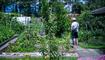 Gartenfest in Triesen (06.07.2024)