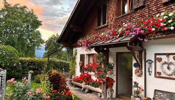 Blumenpracht Triesen