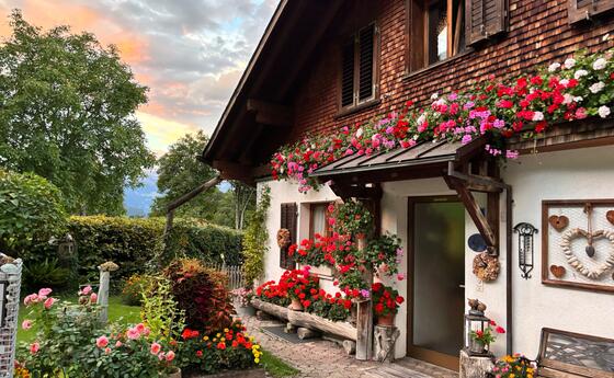 Blumenpracht Triesen