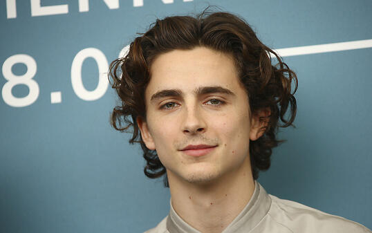 Der 24-jährige Schauspieler Timothée Chalamet soll an einem neuen Filmprojekt mitwirken. (Archivbild)
