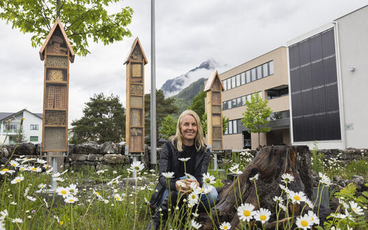 Wildbienenhotel in Triesen