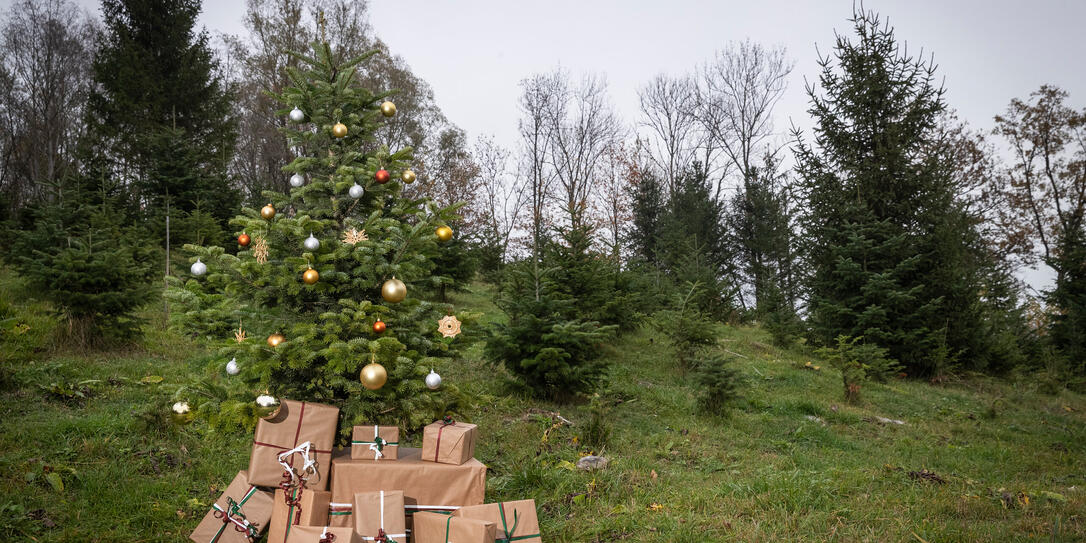 Cover Shooting Weihnachtsmagazin Cover Shooting Weihnachtsmagazin