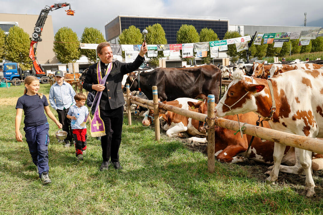 Unterländer Brememart, Eschen, Liechtenstein.
