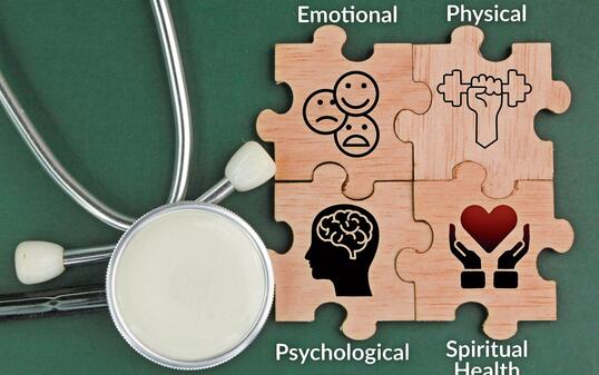 wooden puzzle with icons and words emotional, physical, psychological, and spiritual health. What are the 4 domains of health?