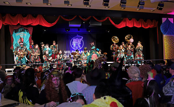 Gigox Maskenball in Triesenberg