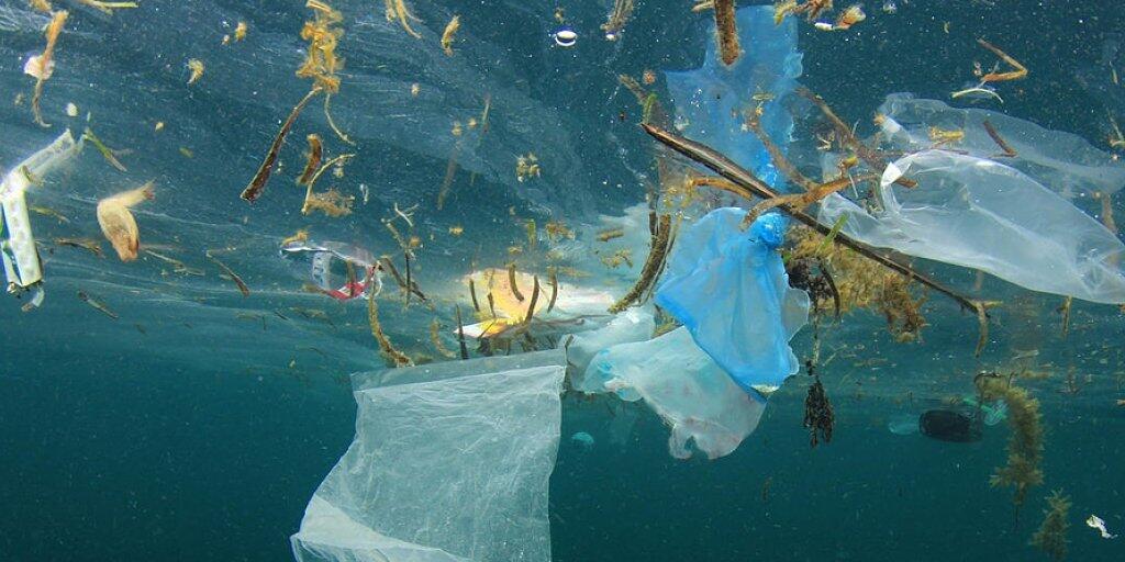Im Mittelmeer schwimmen laut dem WWF Unmengen an Plastikmüll. Besonders problematisch ist die Mikroplastik.