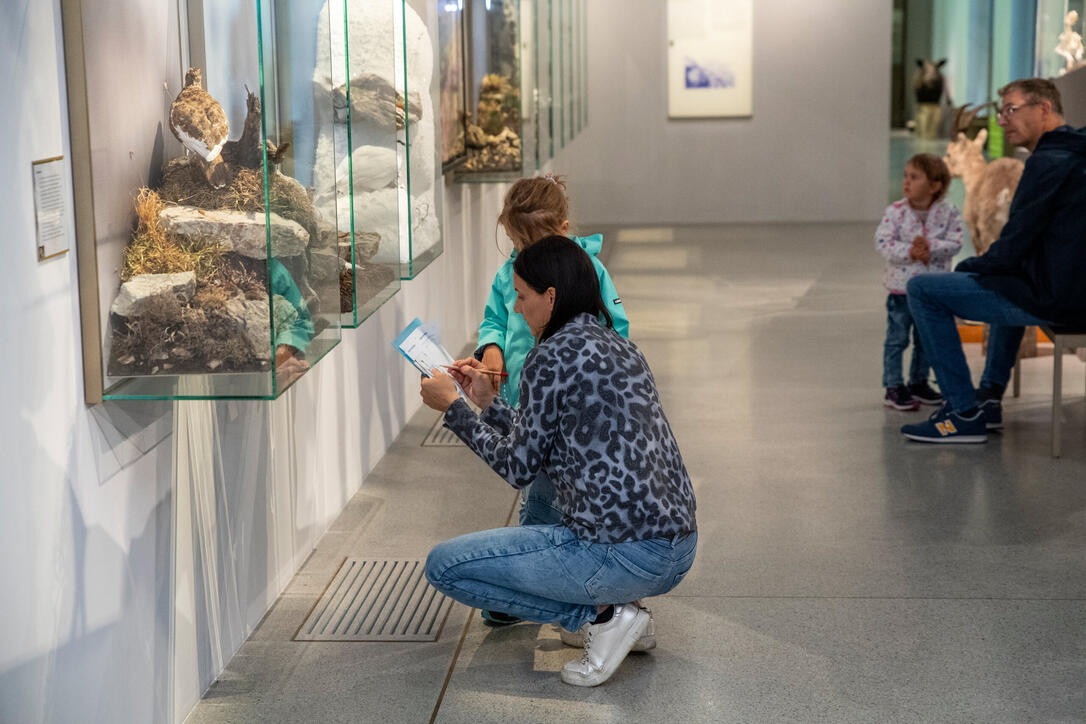 Reiseziel Museum (03.08.2025)