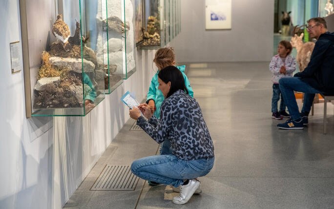 Reiseziel Museum (03.08.2025)