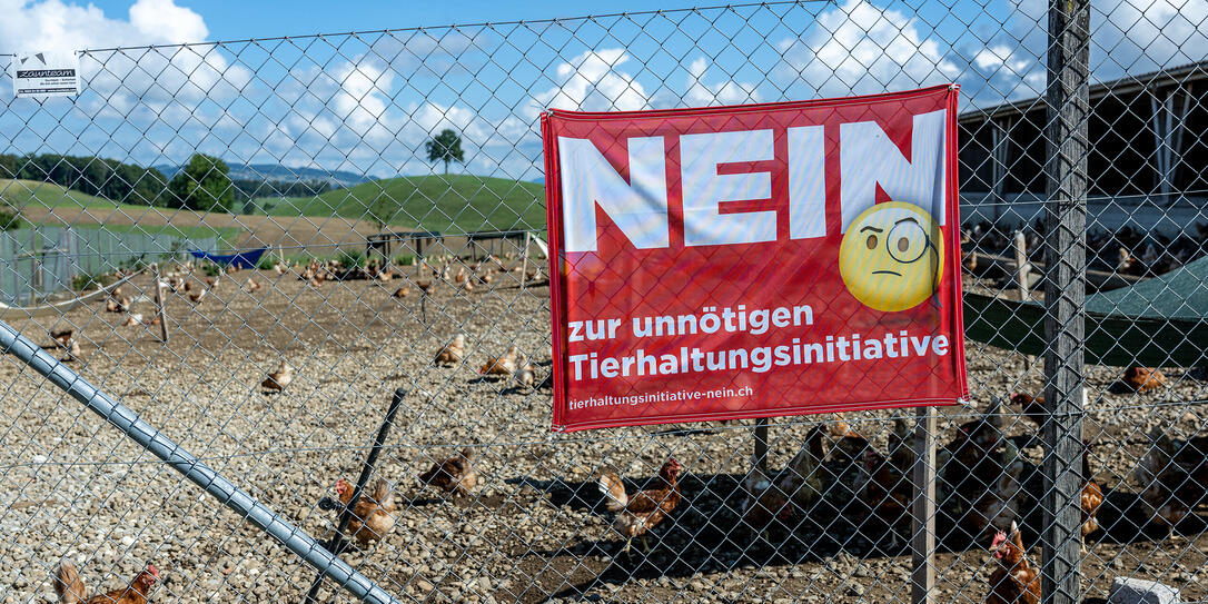 HUEHNER, HUHN, VOLKSINITIATIVE, MASSENTIERHALTUNG, TIERHALTUNG, MASSENTIERHALTUNGSINITIATIVE, &quot;KEINE MASSENTIERHALTUNG IN DER SCHWEIZ&quot;,