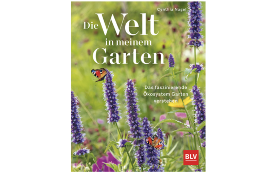 Die besten Produkte im Februar 2023