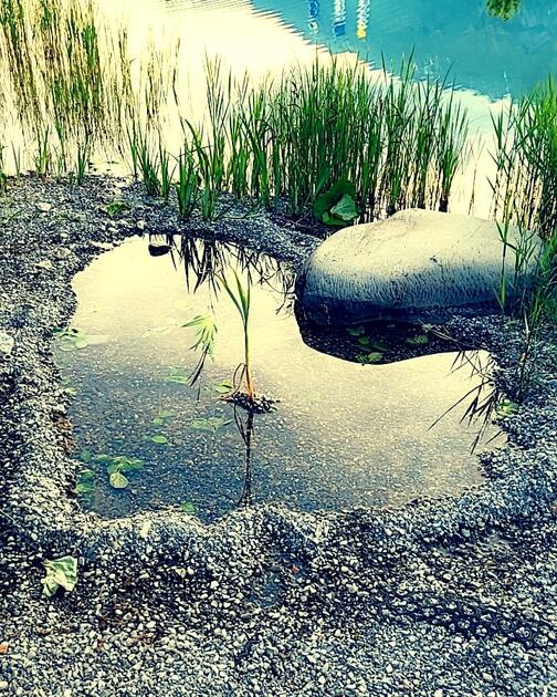#näherdran-Fotowettbewerb Gamprin-Bendern