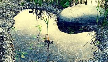 #näherdran-Fotowettbewerb Gamprin-Bendern