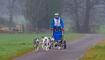 Wagenrennen vom Schlittenhundeverein Liechtenstein