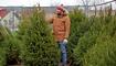 happy man choosing christmas tree at market