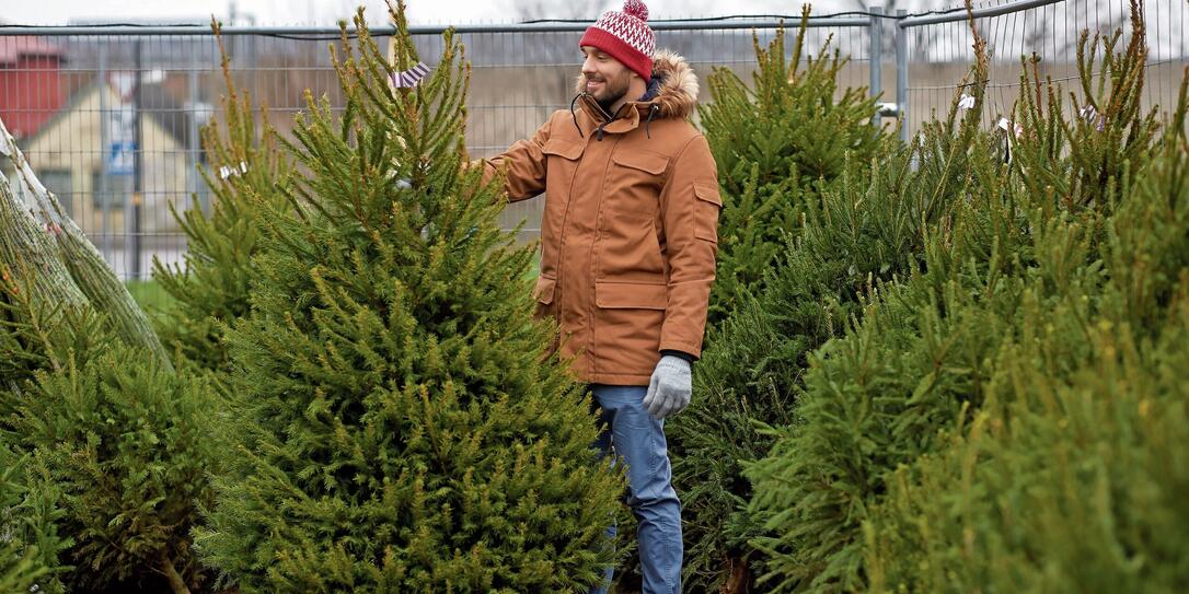 happy man choosing christmas tree at market