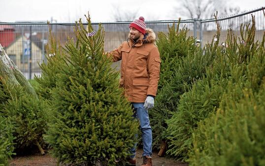 happy man choosing christmas tree at market