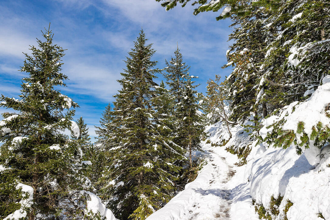 Erster Schnee in Liechtenstein