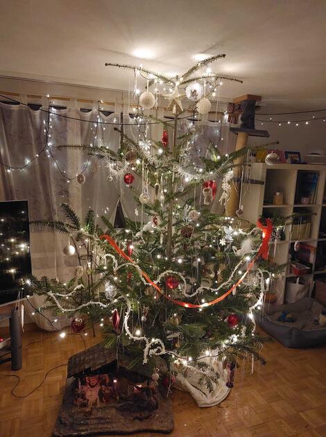 Fotowettbewerb: Zeig uns Deinen Christbaum 2022