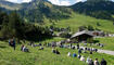 19. Liechtensteiner Weisenblasen in Malbun, Triesenberg.