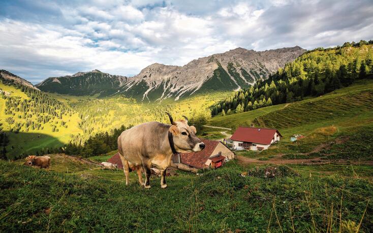 Alp Guschg am 27. August 2020Foto: Brigitt Risch, Schaan