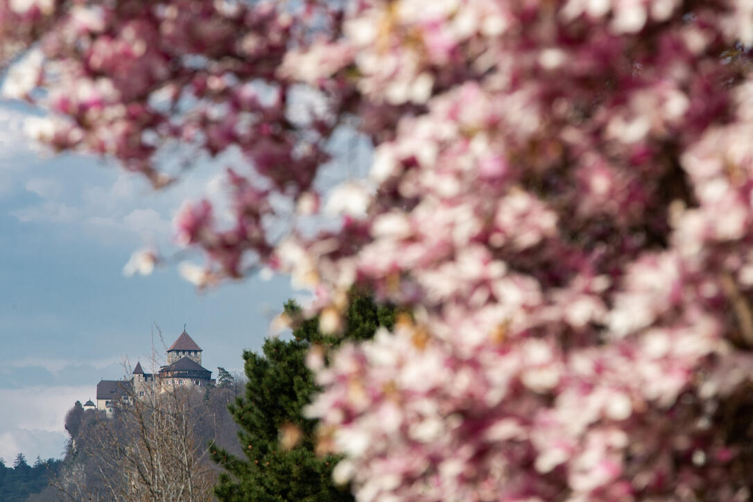 Frühling in Liechtenstein