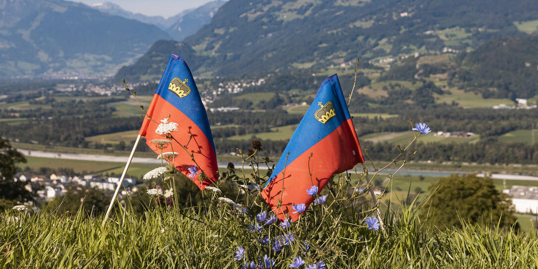 Liechtenstein Fahne