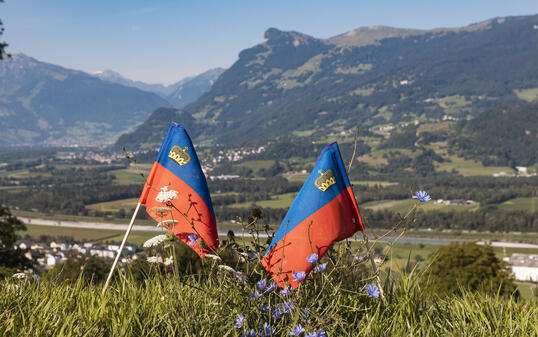 Liechtenstein Fahne