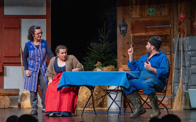 Dreik&ouml;nigsunterhaltung der Feuerwehr Vaduz (05.01.2026)