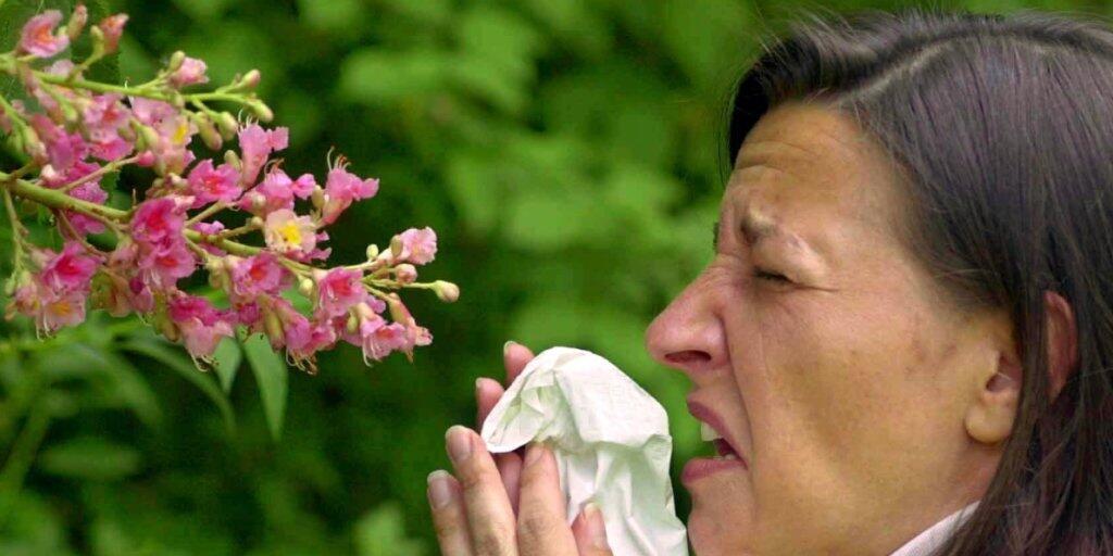 Die Pollensaison 2020 hat begonnen. Milde Temperaturen und trockenes Wetter führen stellenweise zu einem frühzeitigen Pollenflug von Haseln und Erlen. (Symbolbild) Die Pollensaison 2020 hat begonnen. Milde Temperaturen und trockenes Wetter führen stellenweise zu einem frühzeitigen Pollenflug von Haseln und Erlen. (Symbolbild)