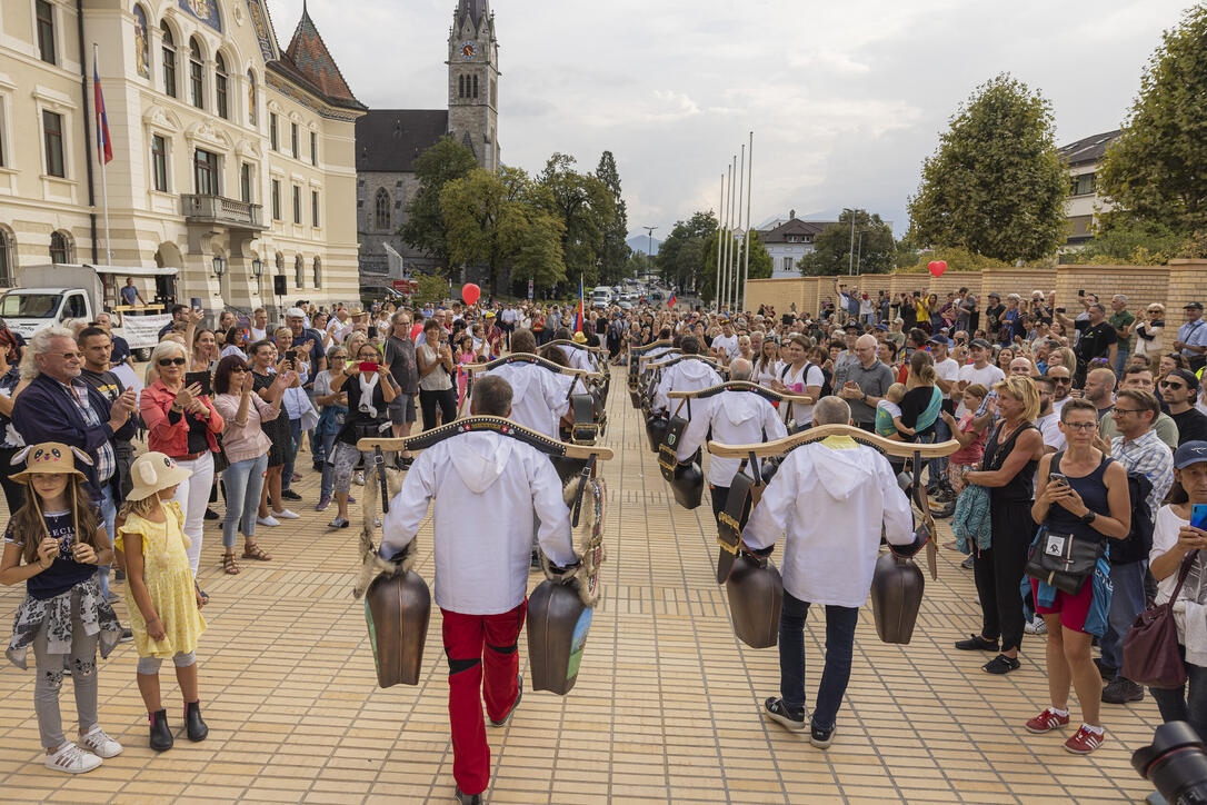 Corona Demo in Vaduz
