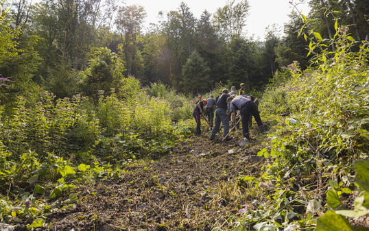 Waldbrandübung in Schaanwald