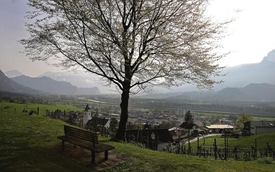 Triesen
