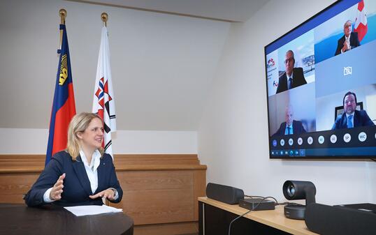 Virtuelles EFTA-Ministertreffen mit RR Katrin Eggenberger - 27.1