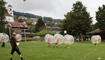 Bubble Soccer Meisterschaft in Mauren