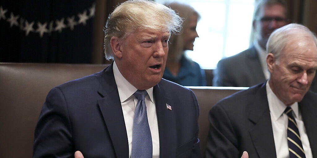Die oppositionellen Demokraten werfen ihm "rassisitische Kommentare" vor: US-Präsident Donald Trump. (Archivbild) Die oppositionellen Demokraten werfen ihm "rassisitische Kommentare" vor: US-Präsident Donald Trump. (Archivbild)