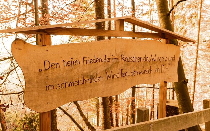 Sägaweiherweg in Nendeln