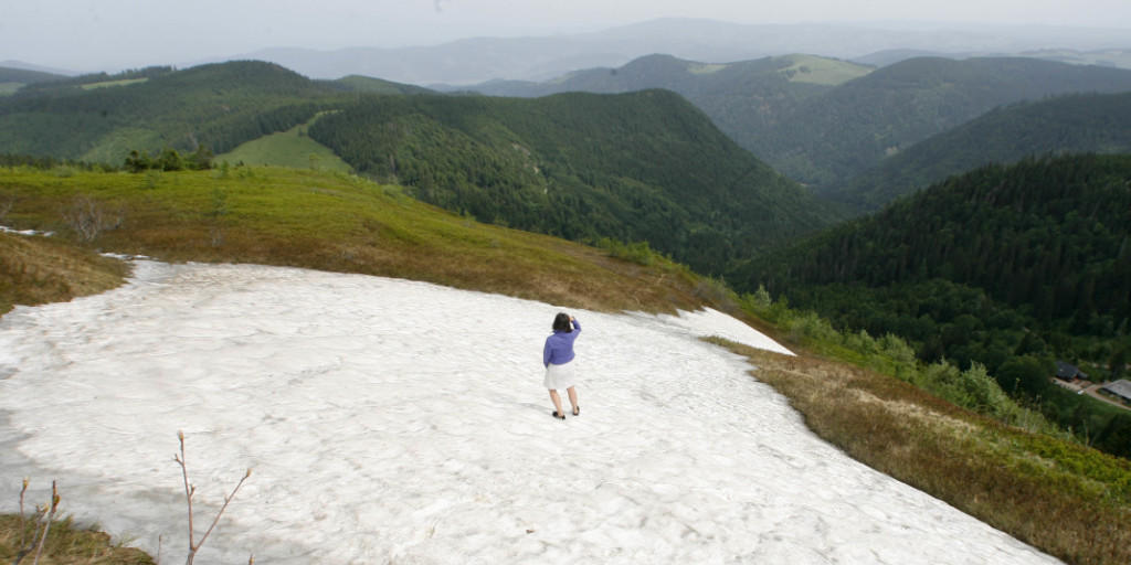Ein Teil des Schwarzwaldes ist als UNESCO-Biosph&auml;renreservat anerkannt worden. (Archiv)