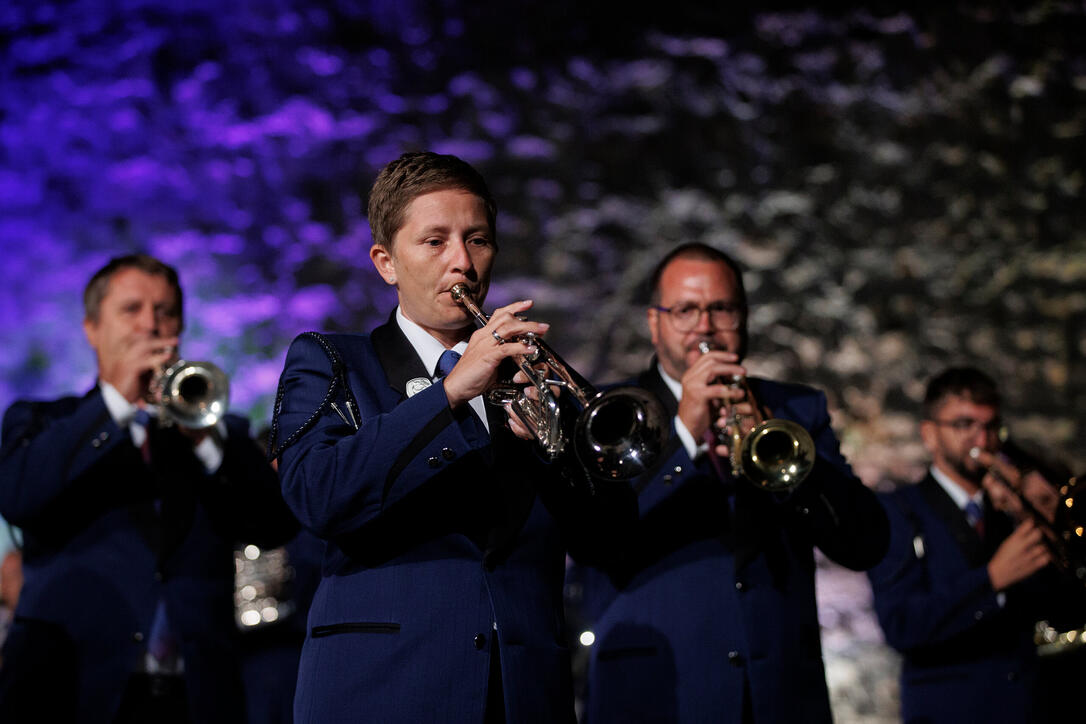The Princely Liechtenstein Tattoo in Schellenberg