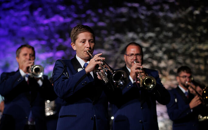 The Princely Liechtenstein Tattoo in Schellenberg