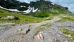 Fünf-Seen-Wanderung im Pizol
