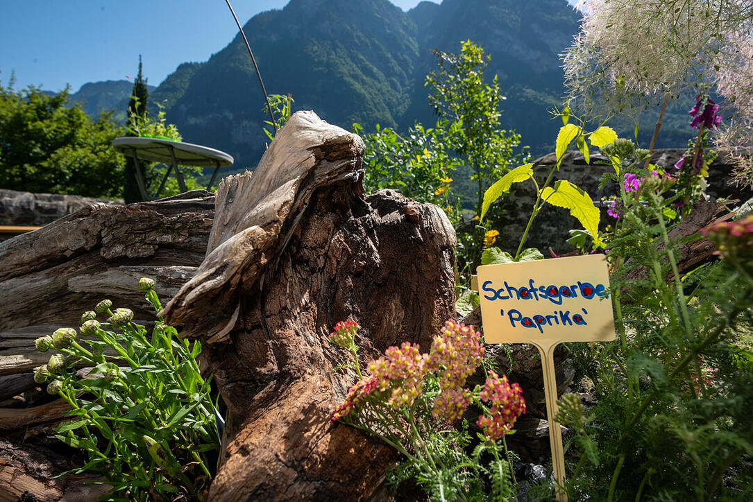 4. Gartenschau Gutenberg in Balzers