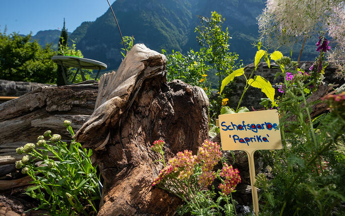 4. Gartenschau Gutenberg in Balzers