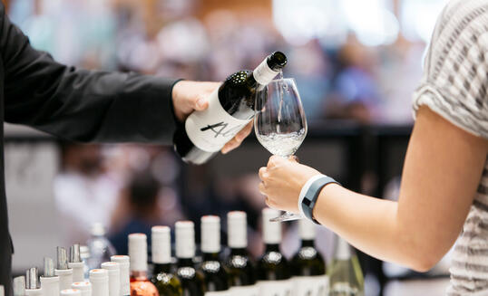 Feldkirch, vinobile Eroeffnung, Montforthaus, Wein, Verkoestigung, Verleihung