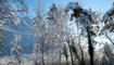 231203 Winter Impressionen in Balzers, Triesen, Triesenberg - Schnee, Burg Gutenberg, See, Triesenberg, UFL
