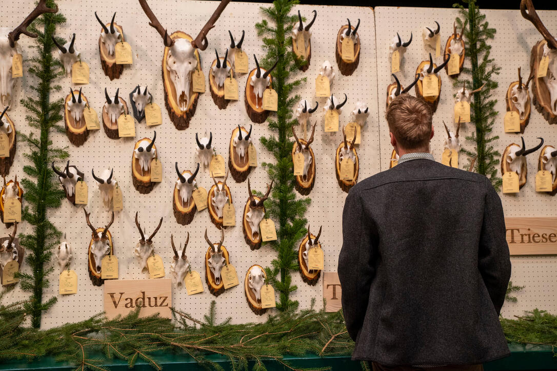 Hegeschau, in Schaan (28.02.2026)