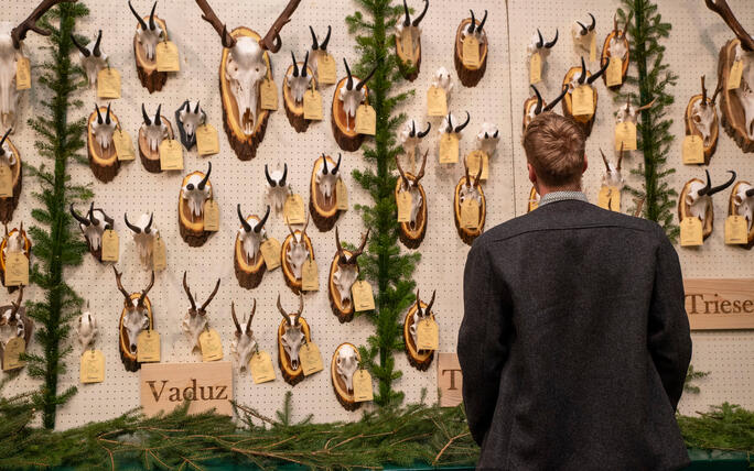 Hegeschau, in Schaan (28.02.2026)