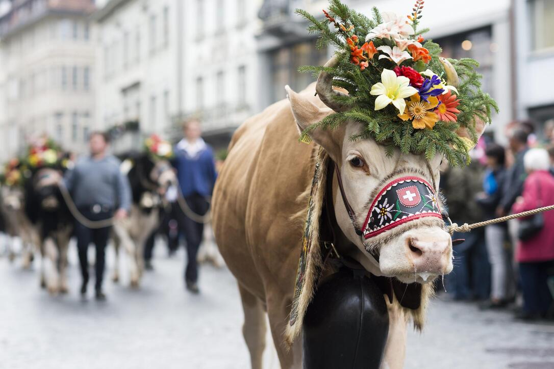 UMZUG, LANDWIRTSCHAFTSAUSTELLUNG, LANDWIRTSCHAFTSMESSE, LANDWIRTSCHAFT, MESSE, OLMA,